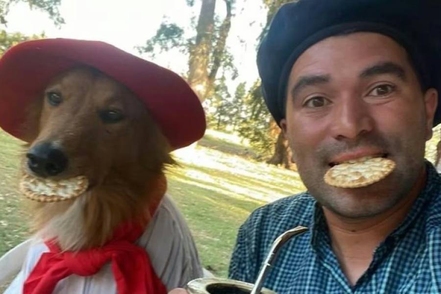 La historia de Preguntale, el perro más famoso del campo argentino: “Es un distinto”