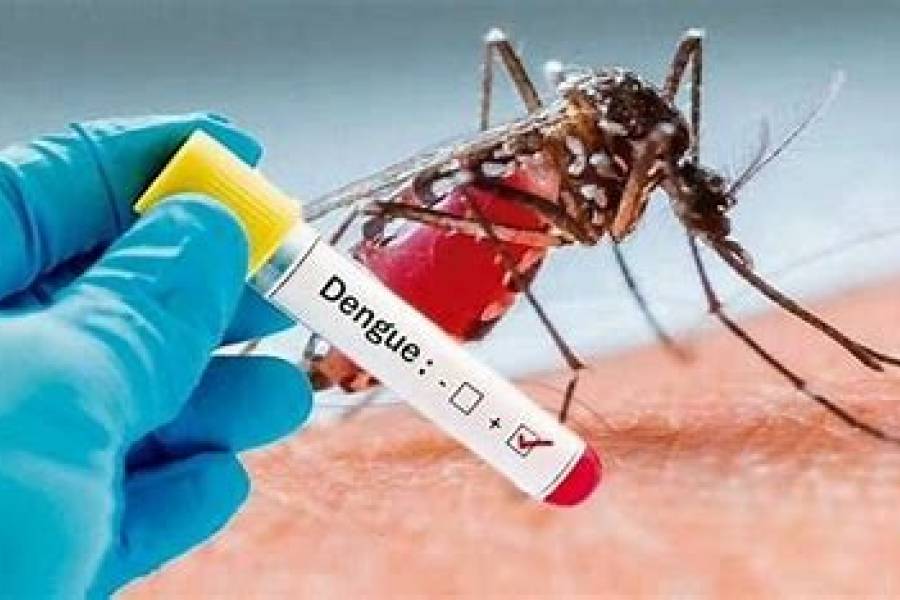 Brote récord de dengue: hay 119 muertos y 163.419 casos en lo que va del 2024