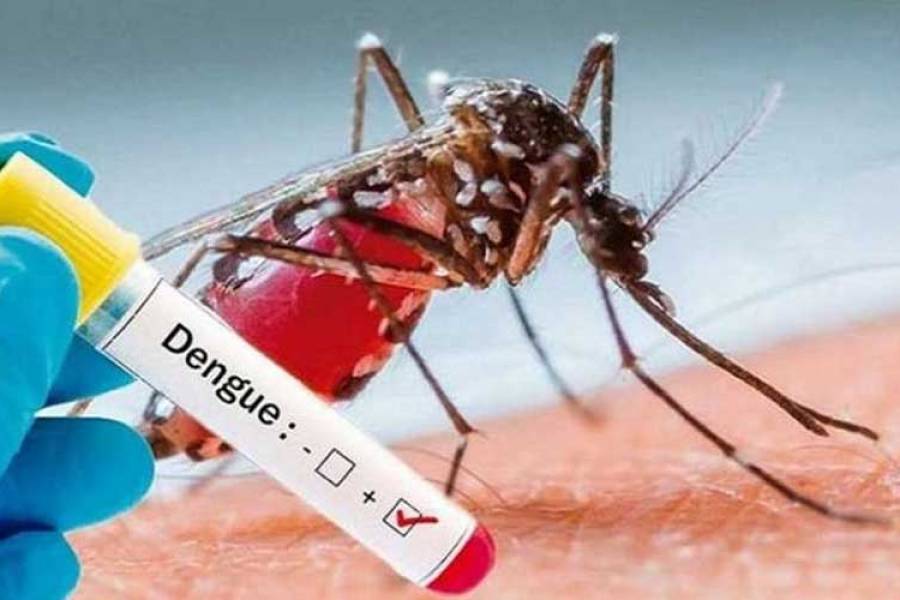 Más de 1000 casos de Dengue en la última semana en Catamarca