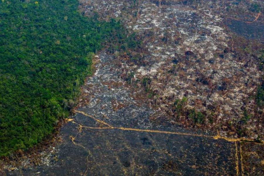 Brasil enfrenta una alarmante reducción de sus reservas de agua dulce