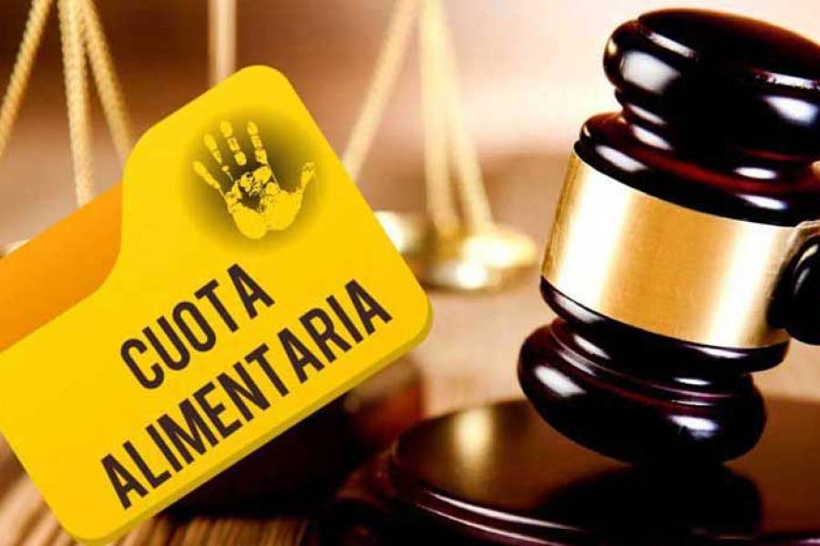 Fallo inédito: la Justicia obligó a una mujer a pagar la cuota alimentaria que su esposo le adeudaba a su ex