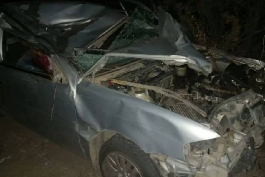 Tragedia en Ruta 46: Un hombre murió tras chocar contra un caballo 