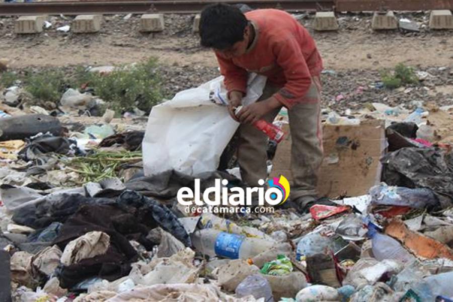 El Pantanillo: Creyeron que estaba muerto dentro de un contenedor, pero solo estaba durmiendo