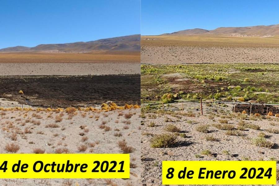 Gobierno presenta estudio integral sobre el impacto de la minería de litio en Antofagasta de la Sierra