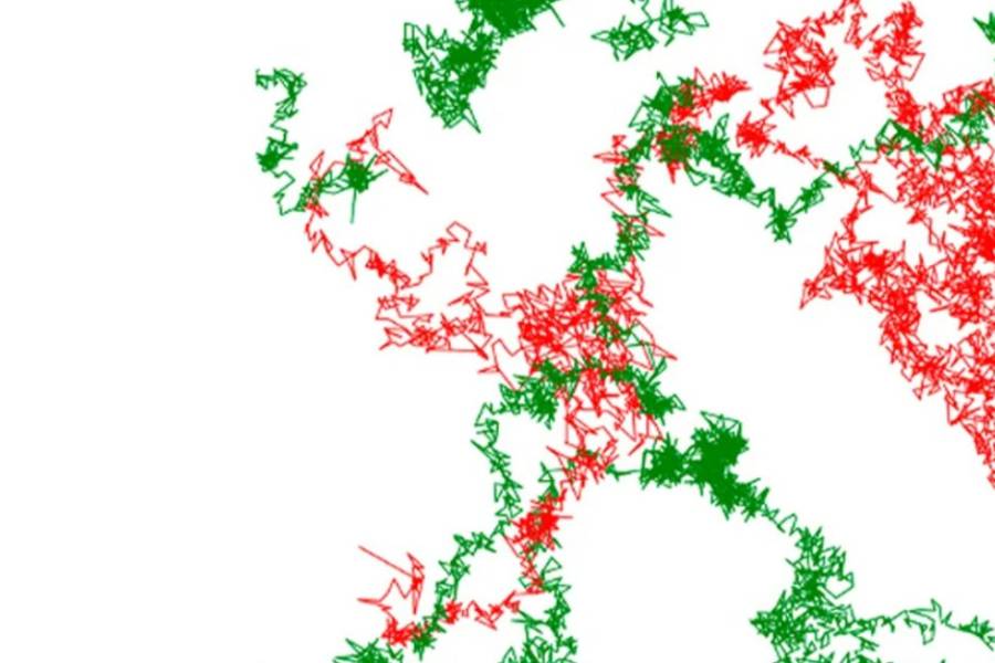El CONICET logró visualizar con IA por primera vez un neurorreceptor implicado en enfermedades neurológicas