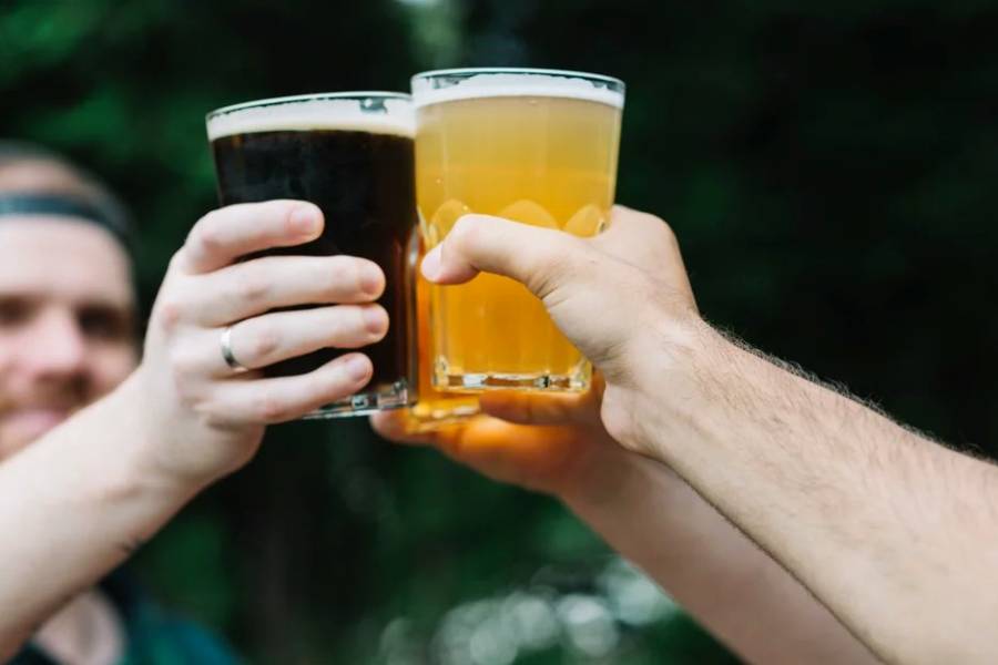 Investigadores del CONICET buscan desarrollar cervezas con propiedades beneficiosas para la salud