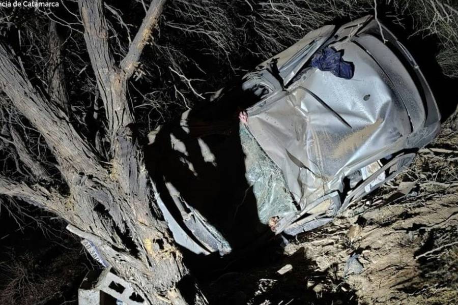 Tragedia en la Ruta 40: Un automovilista murió al volcar e impactar contra un árbol en Tinogasta