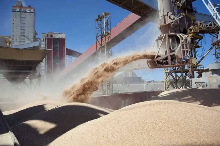 El Gobierno elimina retenciones a los granos hasta el 31 de octubre