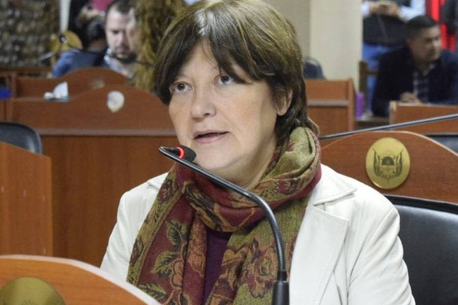 Adriana Díaz: advirtió sobre las consecuencias que traería a Catamarca el Presupuesto 2026 de Milei