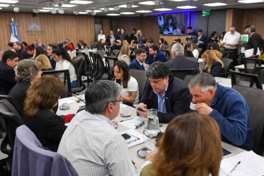 Diputados: la oposición puso en marcha su ofensiva para limitar el uso de los decretos