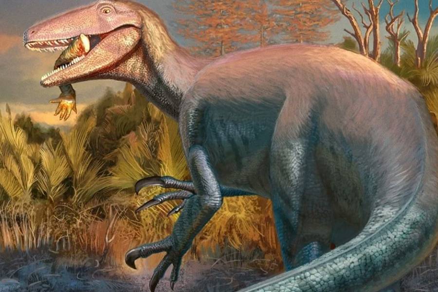 Descubrieron en Chubut un dinosaurio carnívoro que habría sido de los últimos en extinguirse