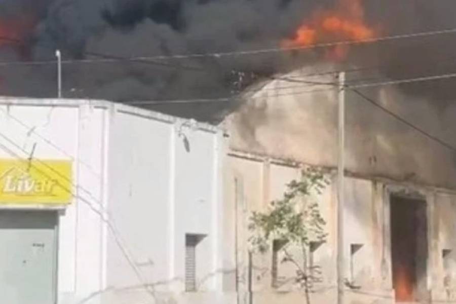 Recreo: Justicia investiga si incendio de galpón de electrodomésticos fue intencional o no 