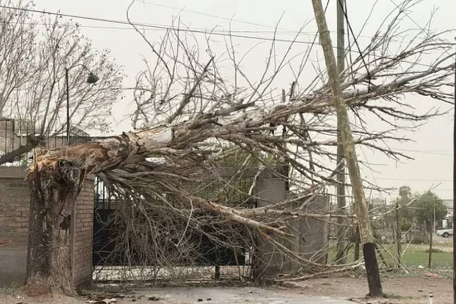 Temporal en Mendoza: un muerto, vuelos suspendidos y graves daños por el viento