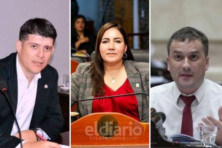 Pedirán que Silvana Carrizo y otros “radicales con peluca” entreguen la bancas