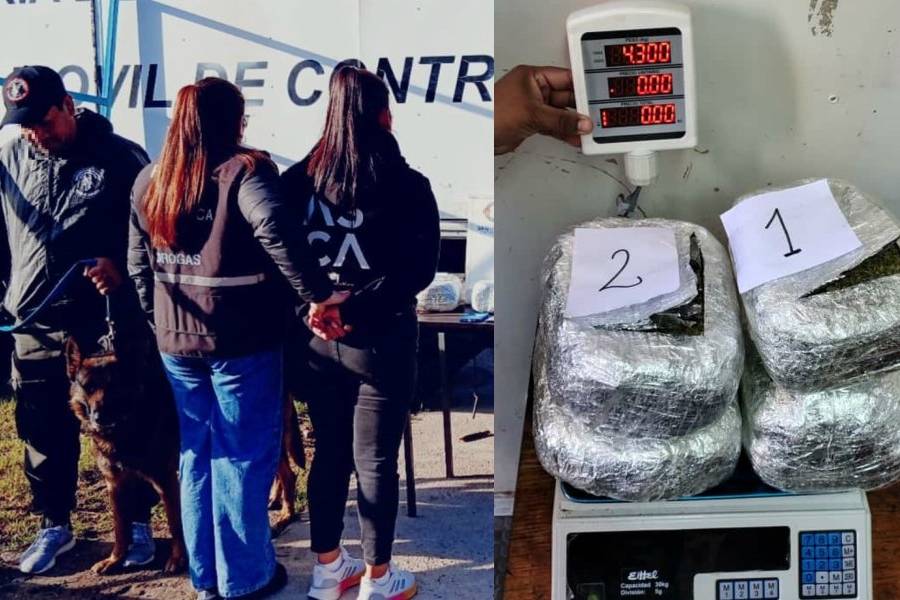 Viajaba con más de 4 kilos de marihuana en un colectivo y fue detenida en un control en Paclín