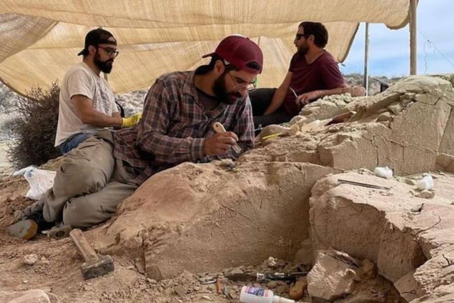 Increíble hallazgo: un grupo del Conicet encontró los restos fósiles de un dinosaurio en pleno streaming