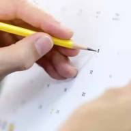 Cuatro días de mini vacaciones: cuándo es el próximo fin de extra largo de noviembre