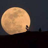 A qué hora y cómo ver la 