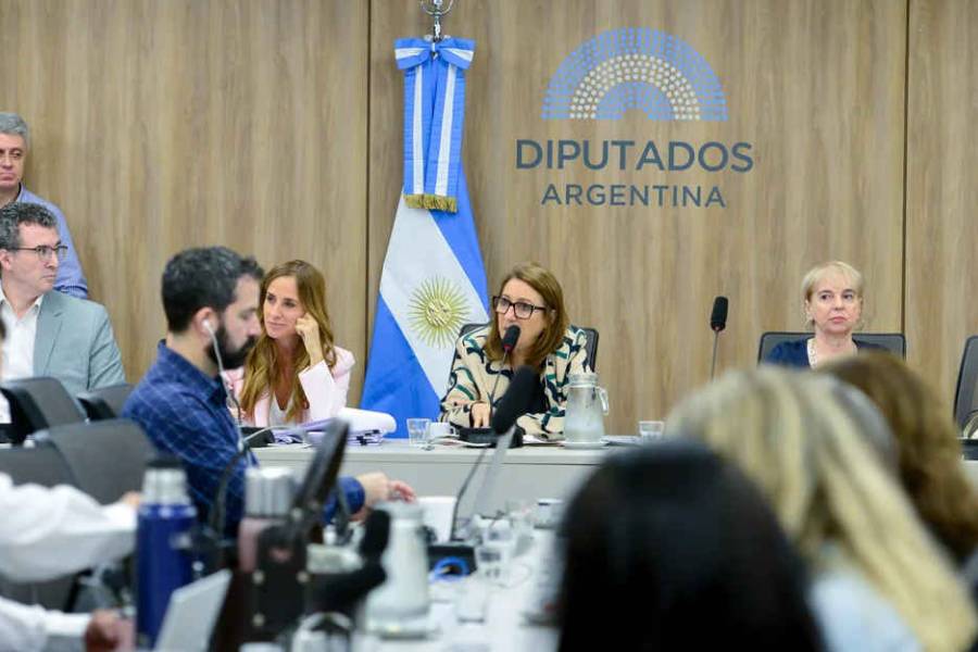 Comisión de Fentanilo cita otra vez al ministro de Salud Mario Lugones “bajo apercibimiento”