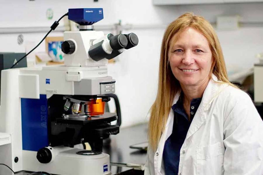 ¿Quién es y qué investiga la científica premiada del CONICET?