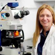 ¿Quién es y qué investiga la científica premiada del CONICET?