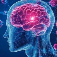 Qué es el “binge drinking” y cómo impacta en la salud y la calidad de vida