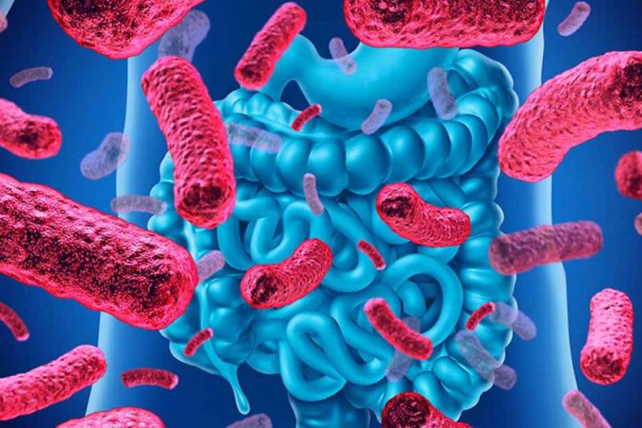 Alertan sobre la amenaza que representa la resistencia antimicrobiana