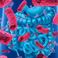 Alertan sobre la amenaza que representa la resistencia antimicrobiana