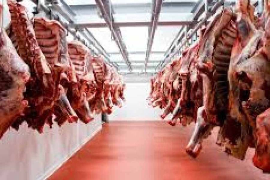 Afirman que el precio de la carne seguirá en alza tras suba de 15%