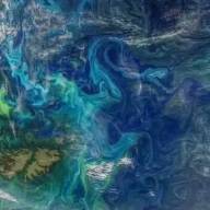 De qué se trata el fenómeno biológico que detectó la NASA en las Islas Malvinas