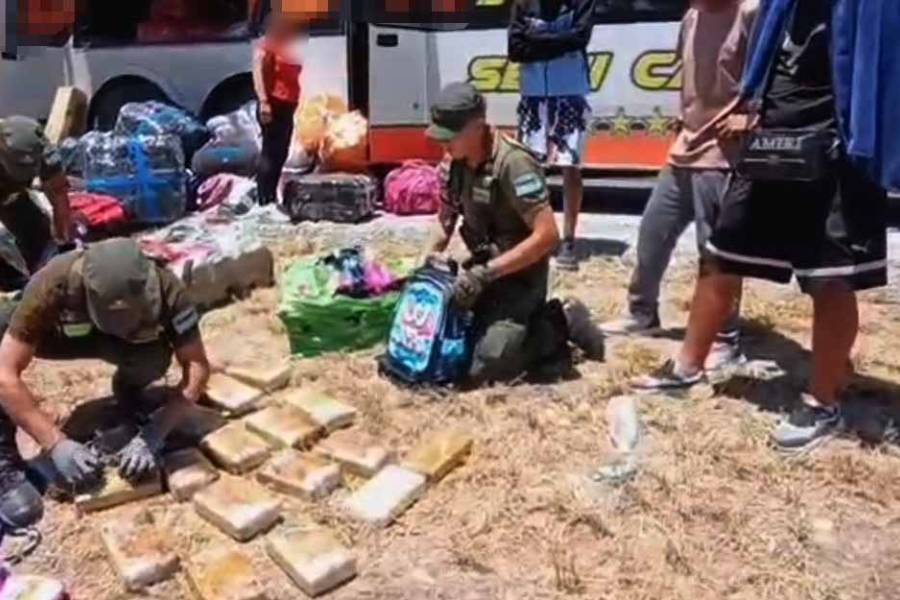 Descubren marihuana oculta en mochilas infantiles dentro de un colectivo de Tours