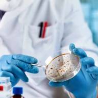 Avance científico en Australia: crean un catálogo de cáncer infantil para impulsar la inmunoterapia