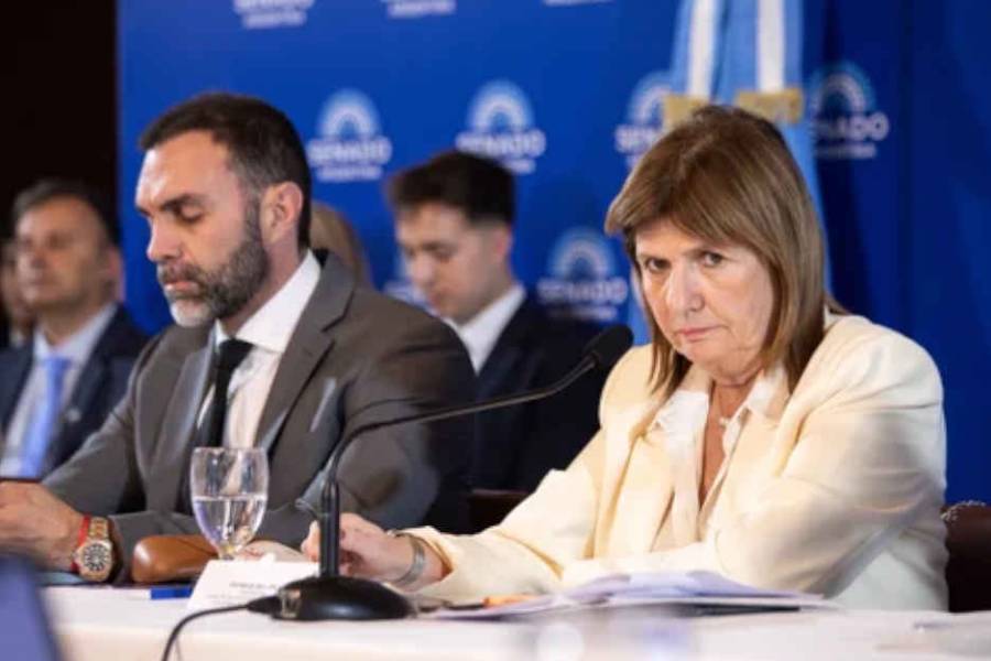 La Libertad Avanza consigue apoyo peronista y avanza en el Senado para aprobar el Presupuesto