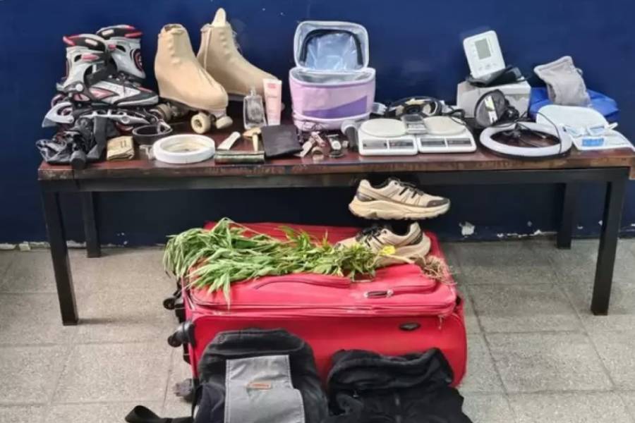 Hallaron Plantín de marihuana y balanzas dentro de una valija abandonada