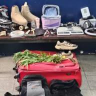 Hallaron Plantín de marihuana y balanzas dentro de una valija abandonada