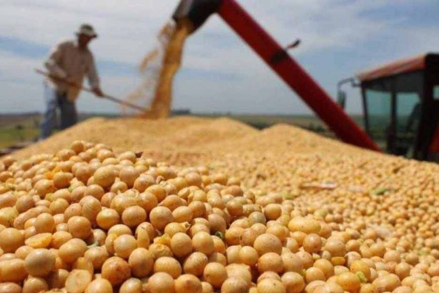 Proyectan cosecha récord de 154,8 millones de toneladas para la campaña 2025/26