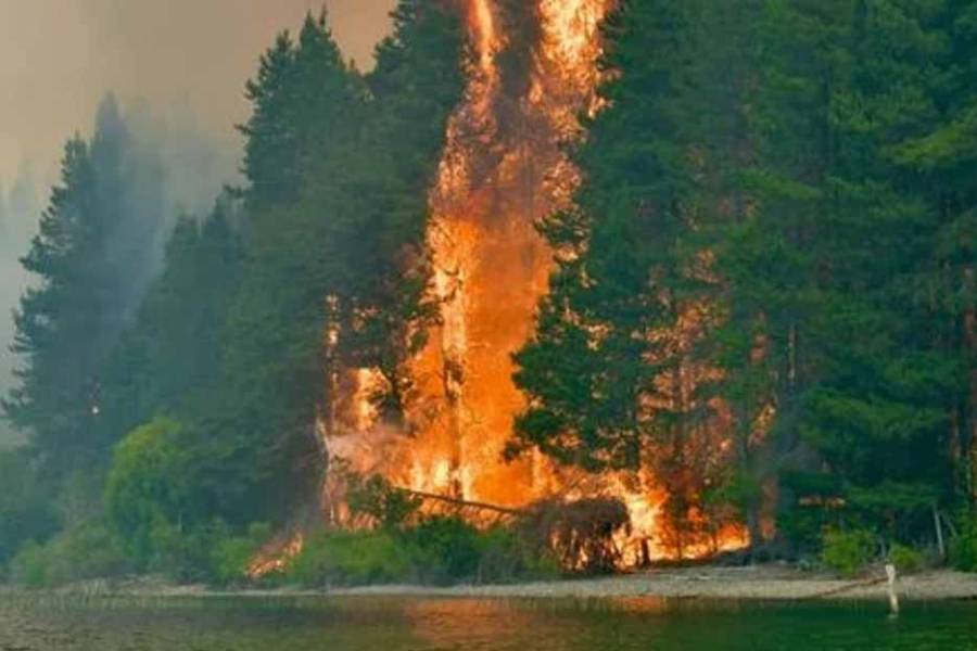 El Concejo Deliberante de Epuyén declaró el estado de catástrofe