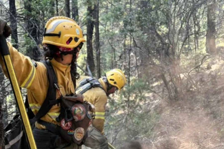 Investigan la posible responsabilidad penal de funcionarios por el incendio en Los Alerces