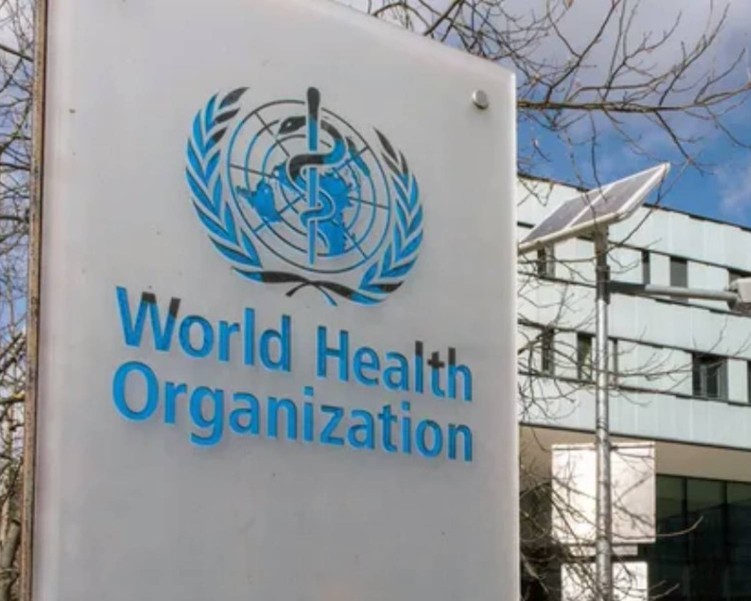 La OMS calificó al virus Nipah como de bajo riesgo global