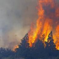 Escándalo en Cholila: denuncian que falsos voluntarios vendían las donaciones para los incendios