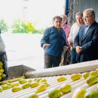 Catamarca avanza hacia su primera exportación de tuna con destino a Europa
