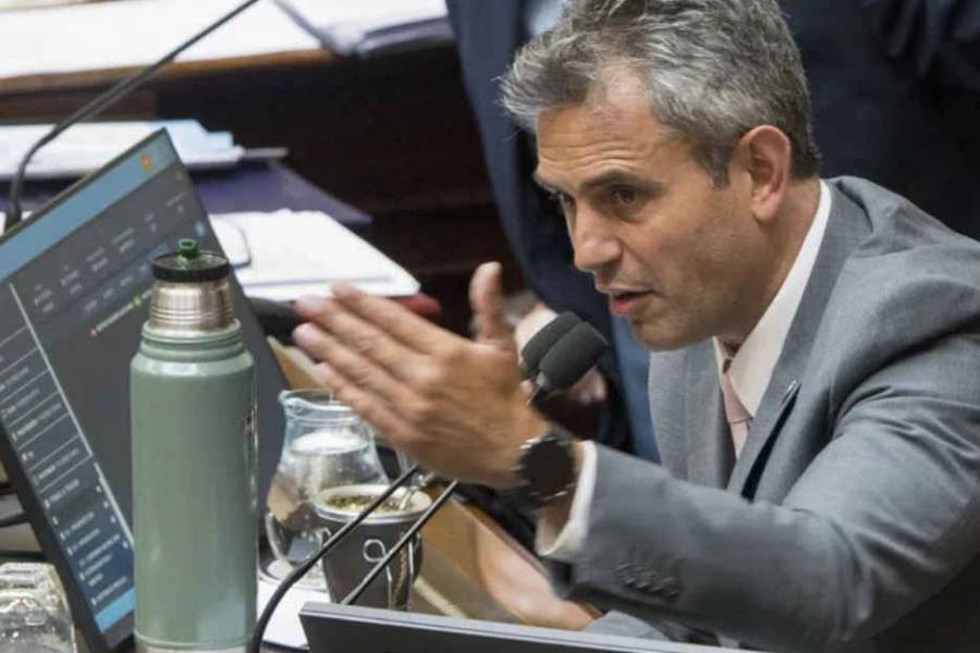 Martín Menem fijó la fecha para tratar la baja de edad de imputabilidad en Diputados