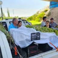 Ante la caída de consumo el gobierno asistirá a productores de uva