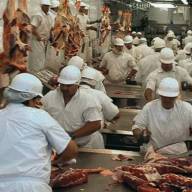 Recesión y crisis: despidos masivos en uno de los principales frigoríficos del país