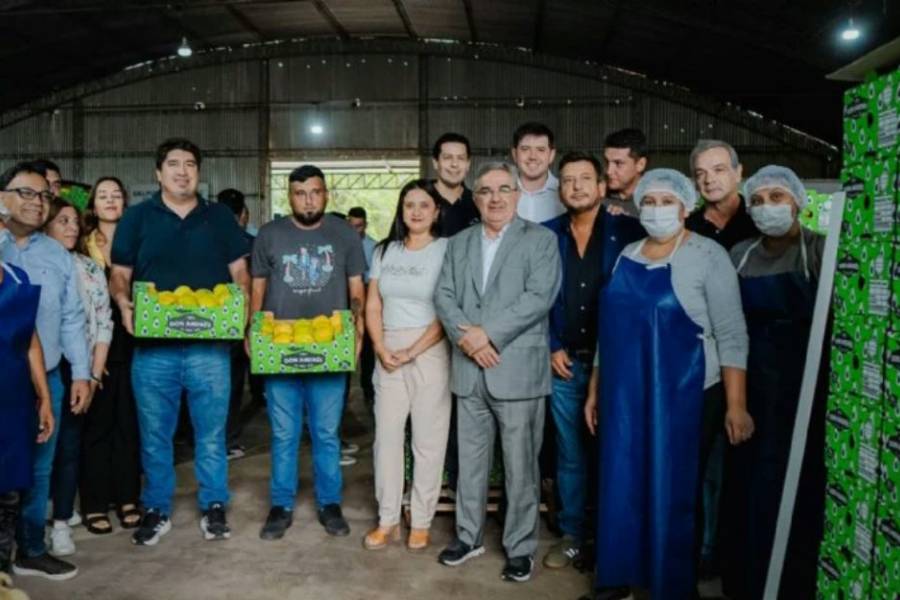 Membrillos de Belén desembarcan en el Mercado Central de Buenos Aires 