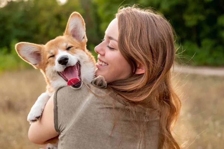 Una prepaga salió a promocionar que incluye a las mascotas en las coberturas