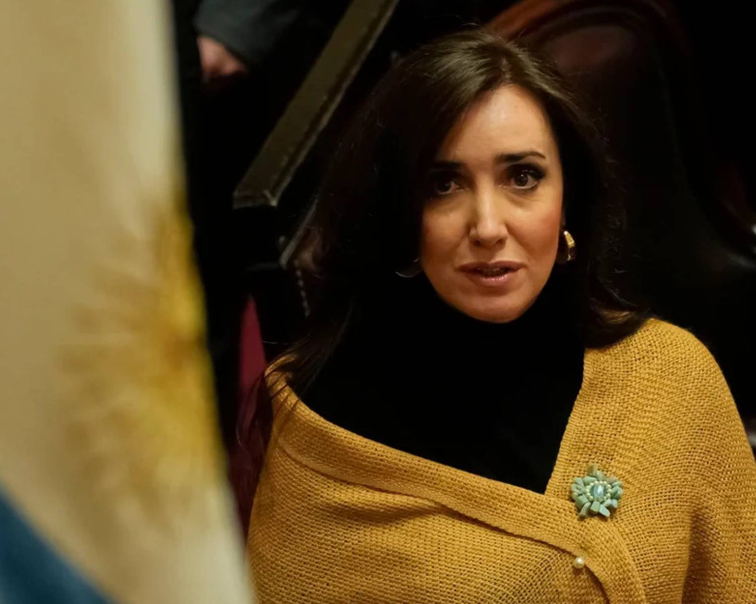 Villarruel propuso que los senadores donen el aumento salarial al hospital Gutiérrez