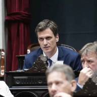 Insólito: alarmas de seguridad en el Congreso por un diputado del PRO que compró un rifle de aire comprimido por Mercado Libre