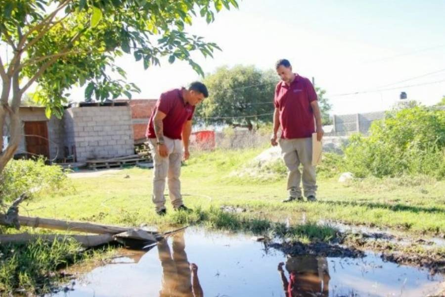 Salud confirmó nuevos casos de dengue y chikungunya en Catamarca