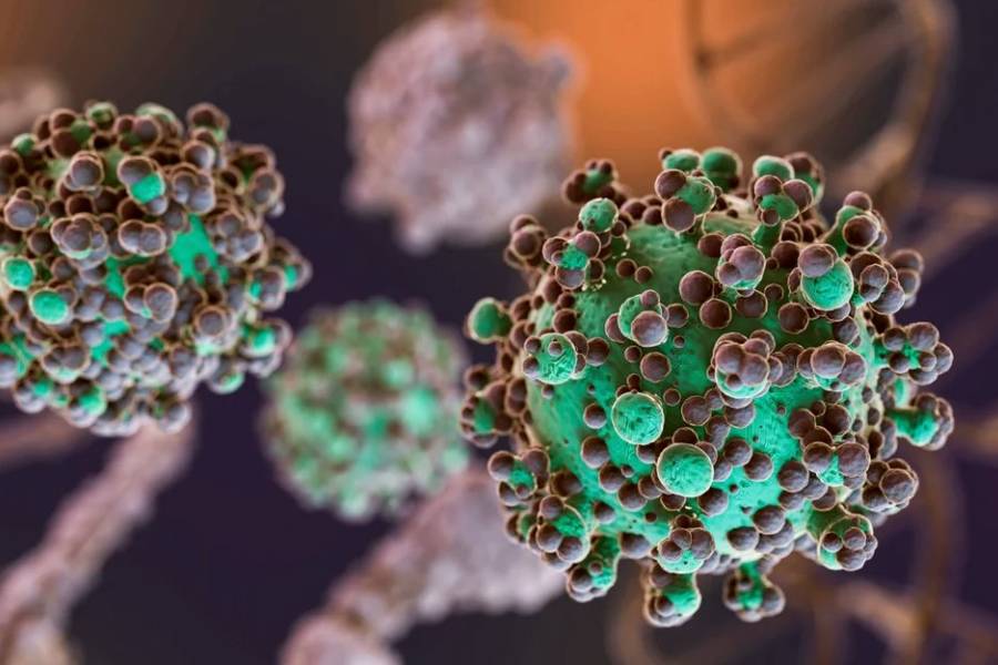 Hantavirus: el total de casos en Argentina asciende a 102
